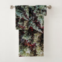 Padrão Legal Verde da Natureza