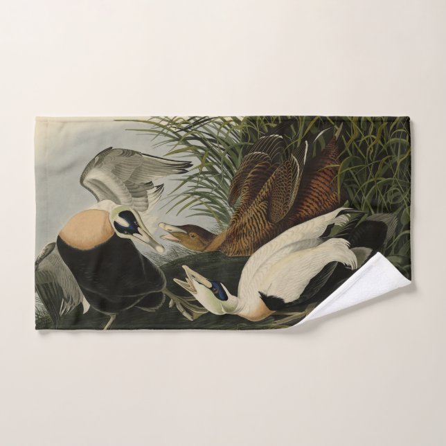 Conjunto De Toalhas Pato Eider, Cavaleiro Comum, Aves de Audubon da Am (Toalha de mão)