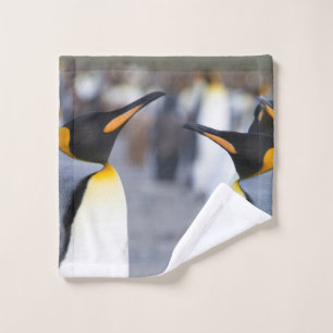 Conjunto De Toalhas Pinguins do Rei