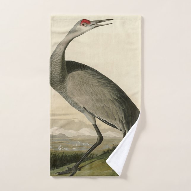 Conjunto De Toalhas Sandhill Crane das Aves da América de Audubon (Toalha de mão)
