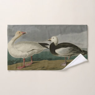 Conjunto De Toalhas Snow Goose from Audubon's Birds of America