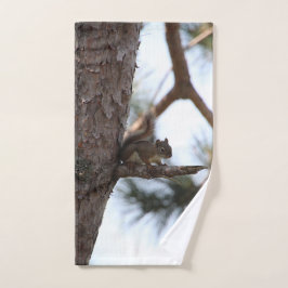 Conjunto De Toalhas Squirrel in a Pine Tree Towel Set