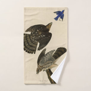 Conjunto De Toalhas Stanley (Cooper's) Hawk Audubon's Birds of America