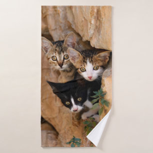 Conjunto De Toalhas Três Gatinhos Curiosos Enfrentam Foto Engraçada
