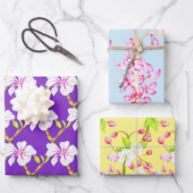 Conjunto delicioso de papel de enrolamento por Pri