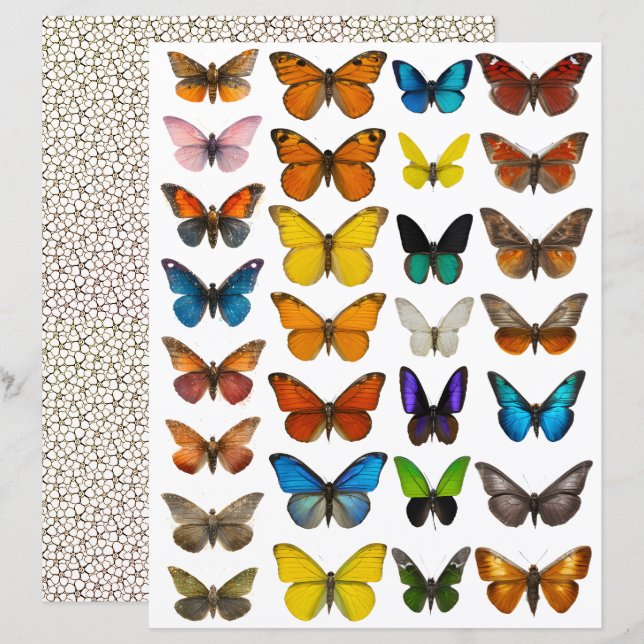 Conjunto WatercolorButterfly para corte exigente (Frente/Verso)