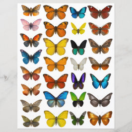 Conjunto WatercolorButterfly para corte exigente