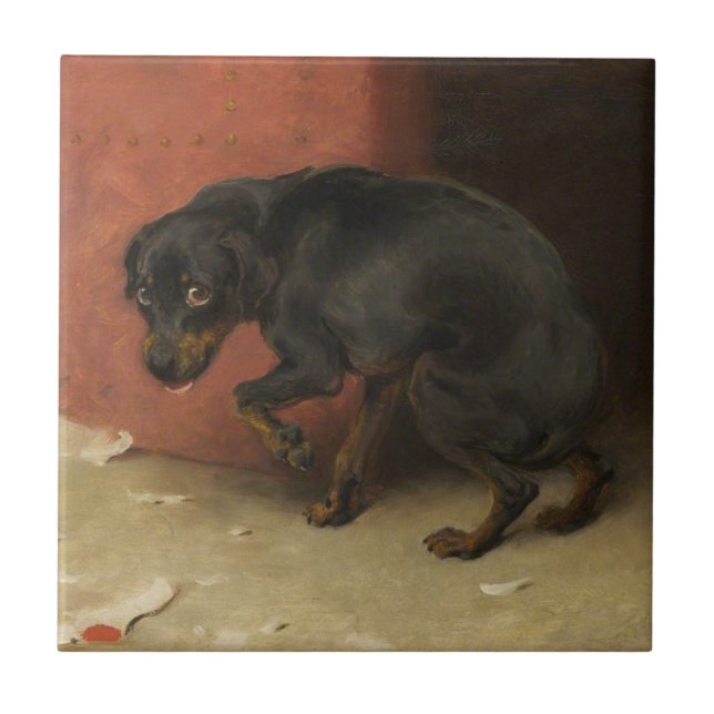 Consciência Faz Borricas De Todos Nós (Frente)