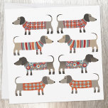 Conselho Cartão de Canino de Enchimento de Enxofre de Dachs<br><div class="desc">Enchidos bonitos de Dachshund ou cachorros-salsicha em tricô malhado. Perfeito para amantes de cães. Arte original de Nic Squirrell. Vazio para sua própria mensagem.</div>
