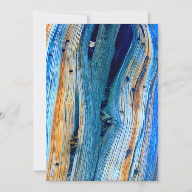 conselhos de celeiros azuis (Frente)