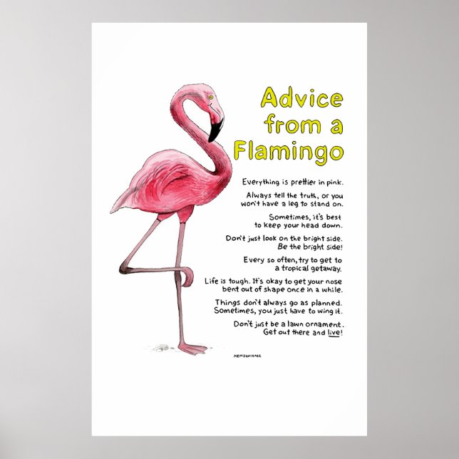 Conselhos de um Poster Flamingo (Frente)