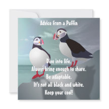 Conselhos de uma placa plana Puffin Design