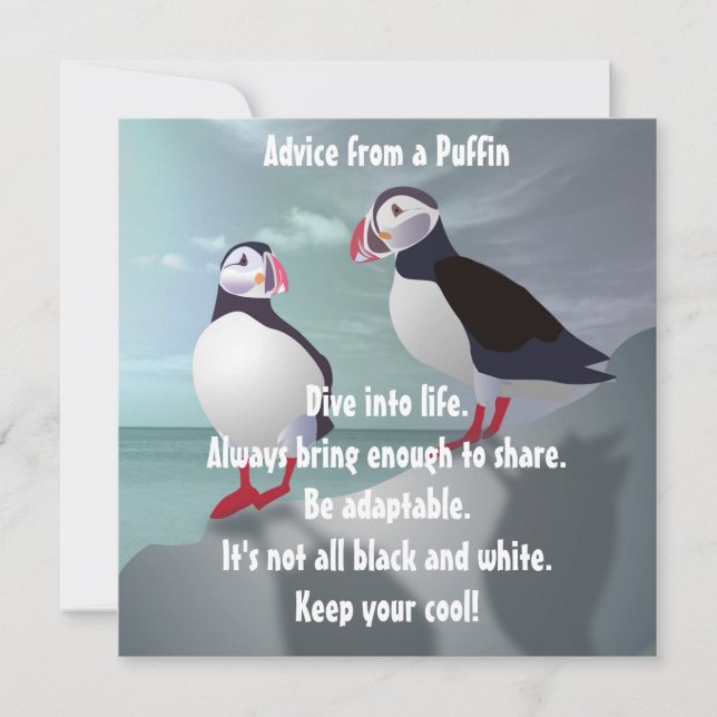 Conselhos de uma placa plana Puffin Design (Frente)