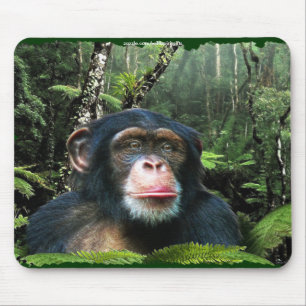 Conservação Mousepad da floresta húmida do
