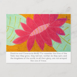 Considere o cartão postal Lily D&C