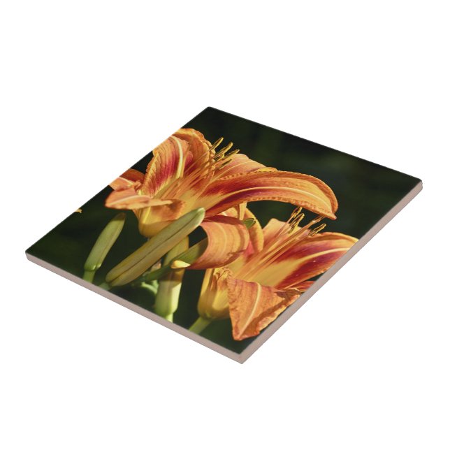 Considerem Os Lírios Do Campo (Lateral)