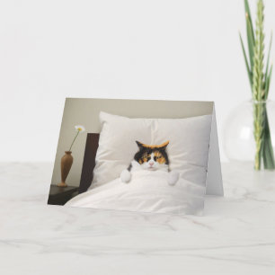 Consiga Bem Cartão De Cat Engraçado Melhor Adoráve