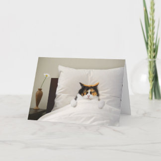 Consiga Bem Cartão De Cat Engraçado Melhor Adoráve