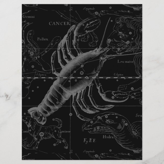 Constelação de cancer Hevelius 1690 em preto (Frente)