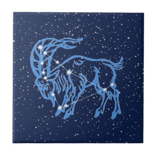 Constelação de Capricórnio e Signo Solar com Estre