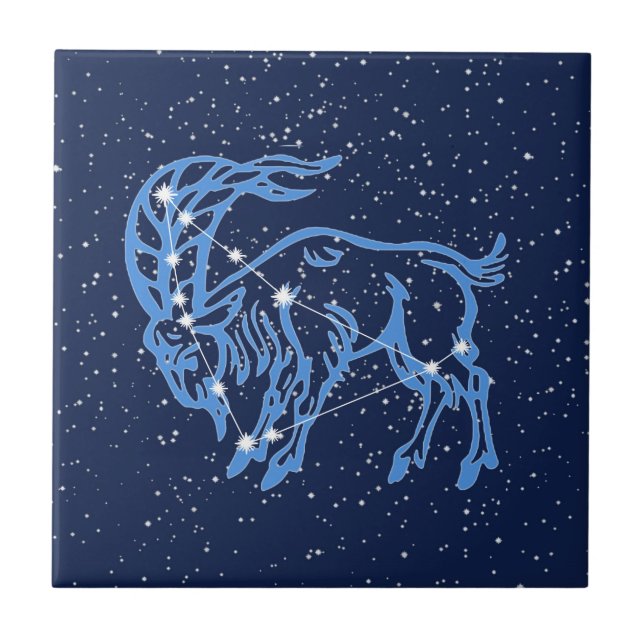 Constelação de Capricórnio e Signo Solar com Estre (Frente)