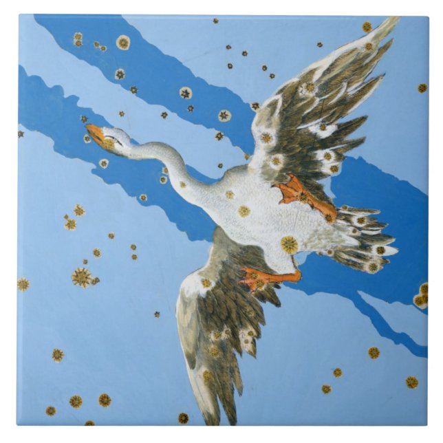 Constelação de Cygnus, do writte de "Uranometria" (Frente)