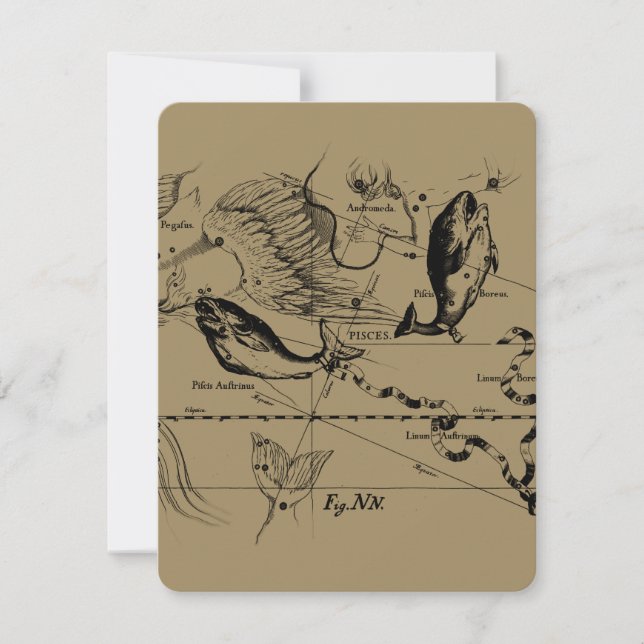 Constelação de peixes Hevelius 1690 Fev19 - março  (Frente)