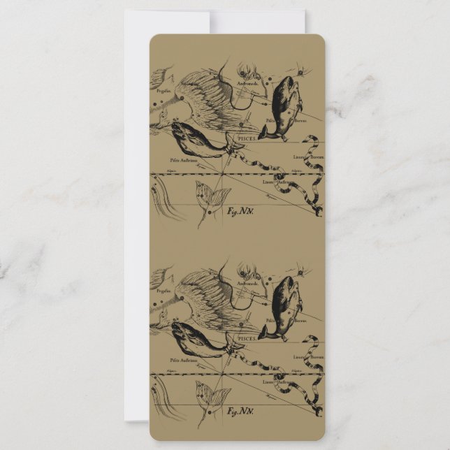 Constelação de peixes Hevelius 1690 Fev19 - março  (Frente)