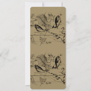 Constelação de peixes Hevelius 1690 Fev19 - março