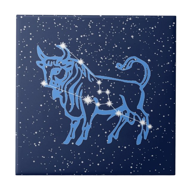 Constelação de Touro e Signo Solar com Estrelas (Frente)