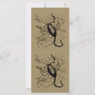 Constelação Scorpio Hevelius 1690 Decor