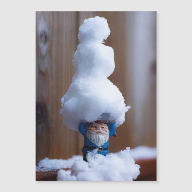 Construiu um Boneco de Neve V (Frente)