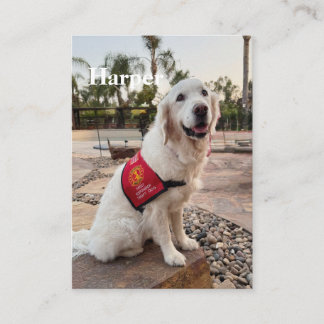 Contato Cartão de Troca de Cão Terapêutico para Visitas de