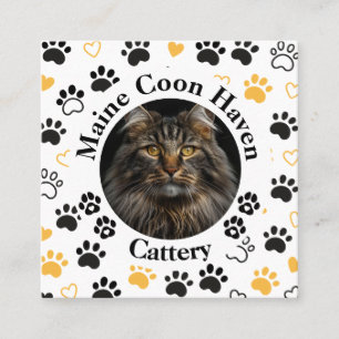 Contato Cartão de Visita Quadrado Personalizado para Catte