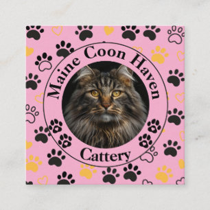 Contato Cattery Personalizado de Maine Coon Cartão de Visi