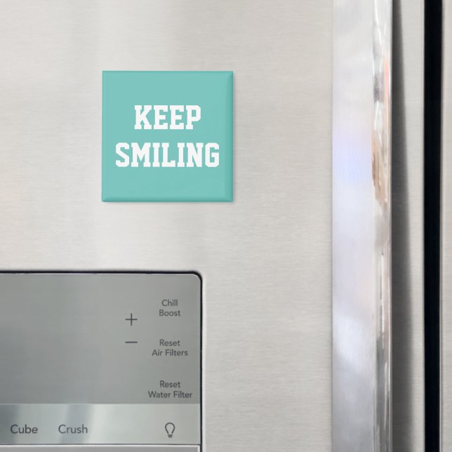 Continue sorrindo, imã branca lacrimejante (In Situ (Fridge))