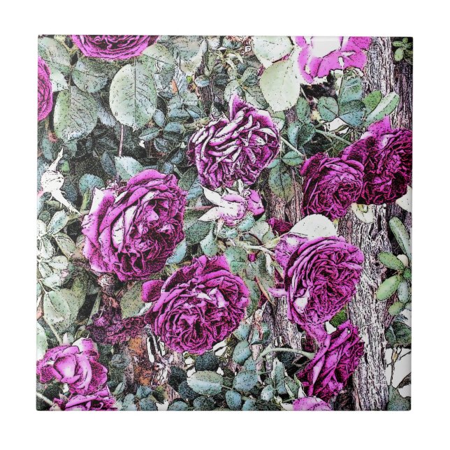 Contorno de Tinta rosa (Frente)