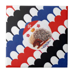 Contrada Sovirana dell' Istrice (Porcupine) Palio