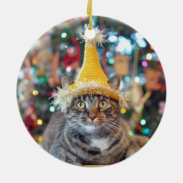 Conversa aos enfeites de natal 2015 da pata (Traseira)