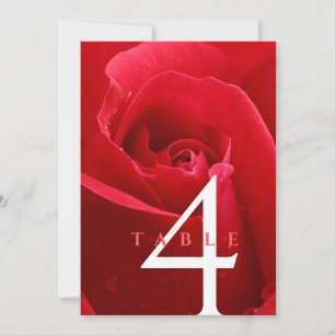 Convite 15 26º aniversário de casamento do Rosa Elegante