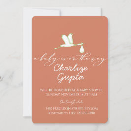 Convite A Baby Is on the Way Baby Shower 