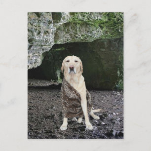 Convite à Caverna de Homem