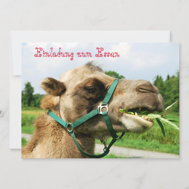 Convite à comida (Frente)