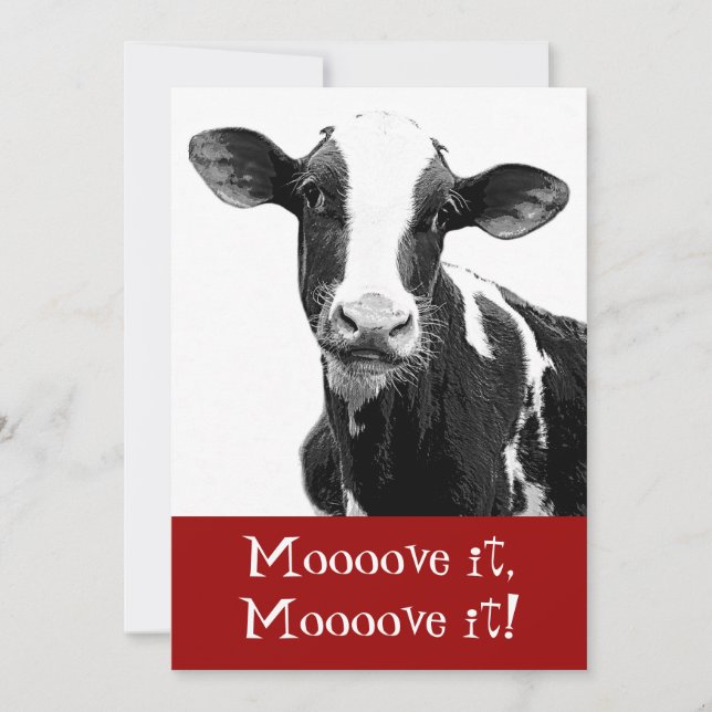 Convite A dança até as vacas vem em casa - festa de (Frente)