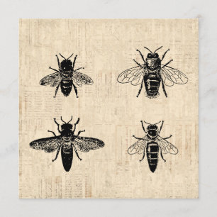 Convite Abelhas - Ilustração Antiquada Design de Pintura