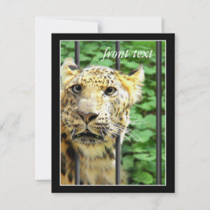 Convite Acidente no zoológico