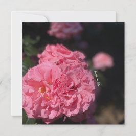 Convite Adesivos rosados rosados