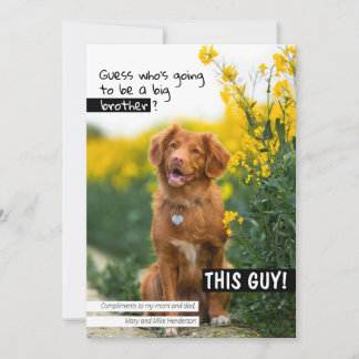 Convite Adivinha quem será um irmão/irmã mais velho?