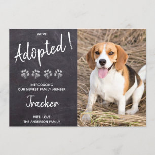 Convite Adotámos o novo Pet Dog Puppy Pawty