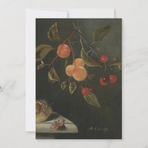 Convite Adriaen Coorte - Vida tranquila com borboleta, Apr